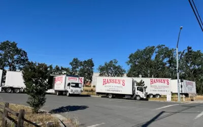Top 10 Things to Look for in a Professional Moving Service – A Stress-Free Relocation